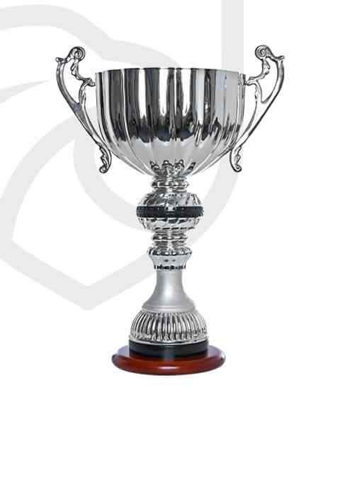 https://centraladelaidevolleyballclub.com.au/wp-content/uploads/2022/11/trophy_overlay_01.jpg