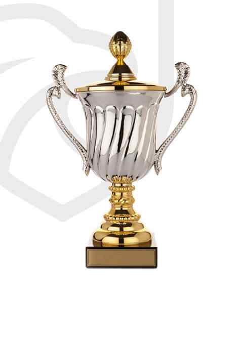 https://centraladelaidevolleyballclub.com.au/wp-content/uploads/2022/11/trophy_overlay_02.jpg